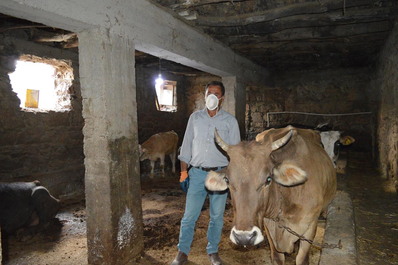 "Şarbon" nedeniyle hayvanları telef olan belde halkı yardım bekliyor "Şarbon" nedeniyle hayvanları telef olan belde halkı yardım bekliyor